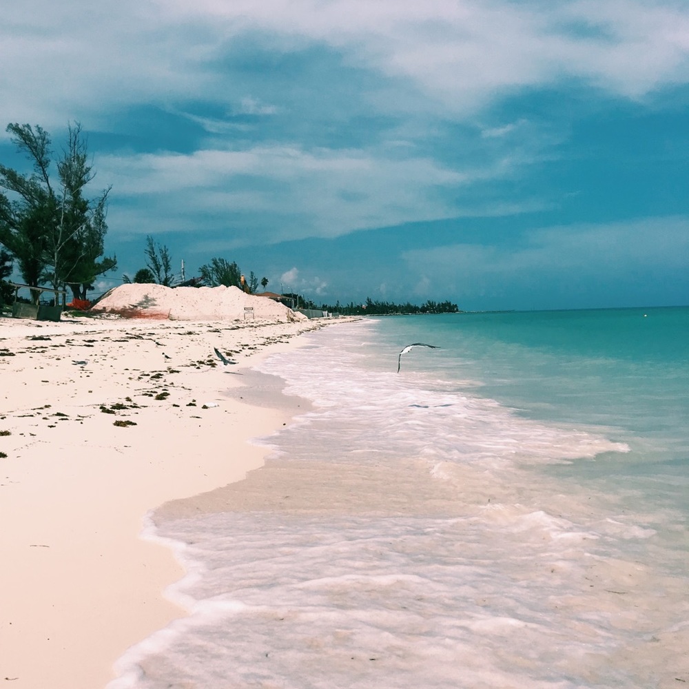 Meet your Posher, Sade